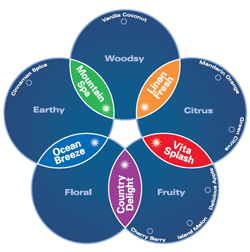 Technical Concepts TC Gel Air Freshener / Odor Neutralizer Refills - Fragrance Chart 2